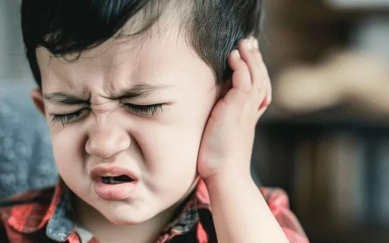dấu hiệu côn trùng chui vào tai
